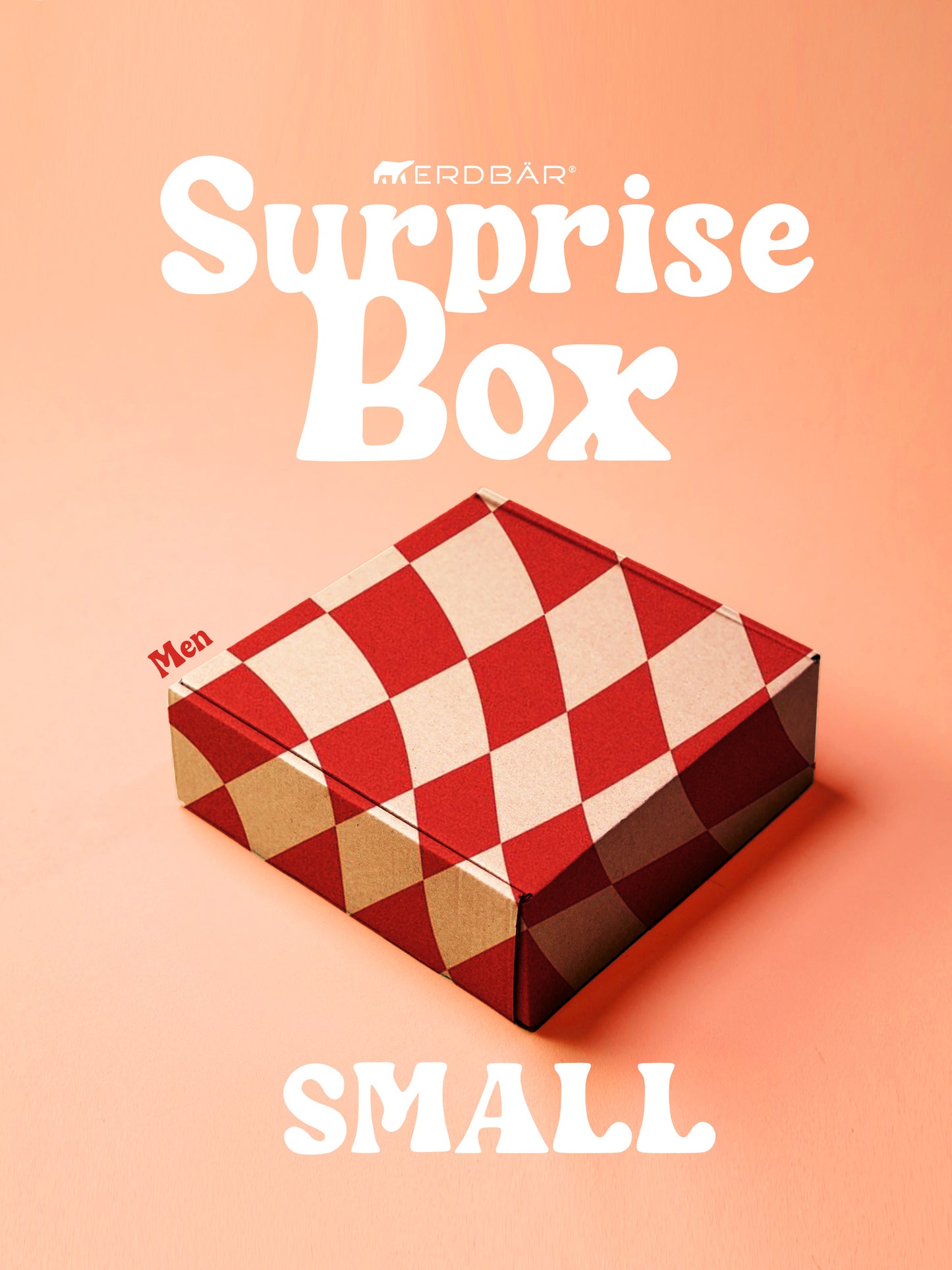 HERREN Überraschungs-Box (small)