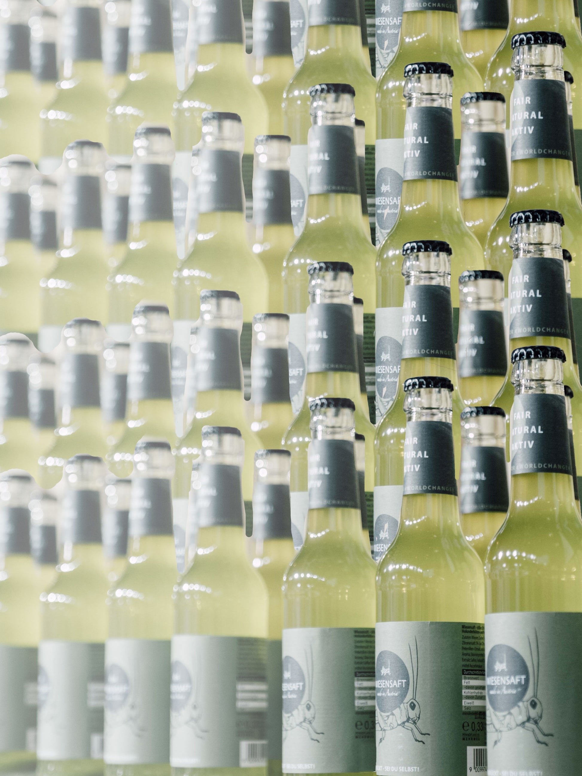 Wiesensaft 1 x Palette (96 Trays) - ERDBÄR #Worldchanger